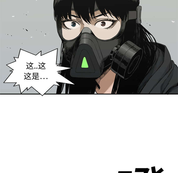 第43章：追击51