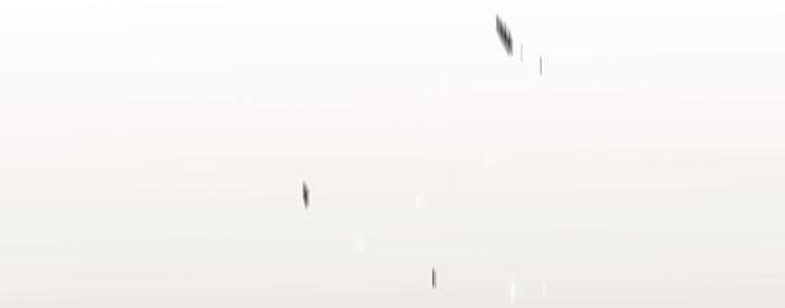 第54章：纸老虎22