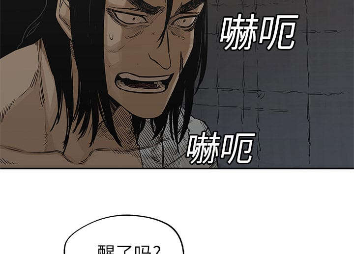 第54章：纸老虎37
