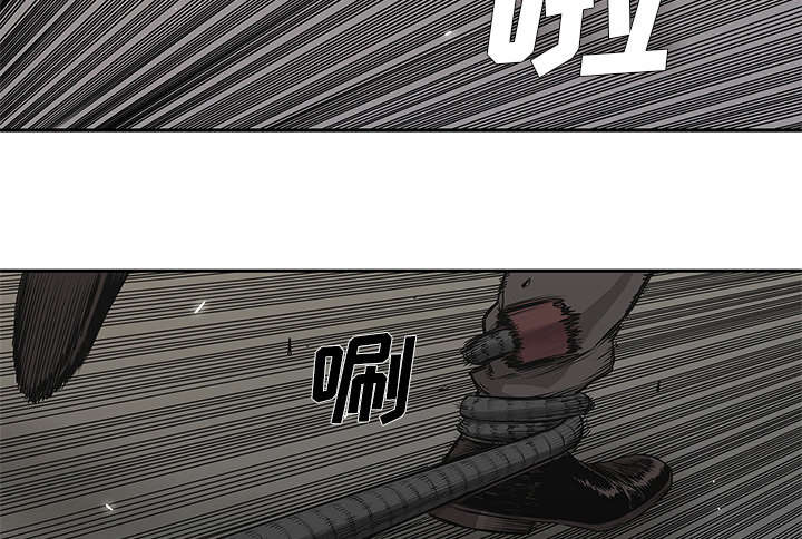 第81章：越区域20