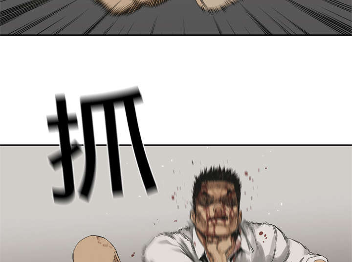 第26章：遇上49