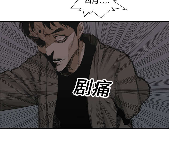 第42章：好好比一场49