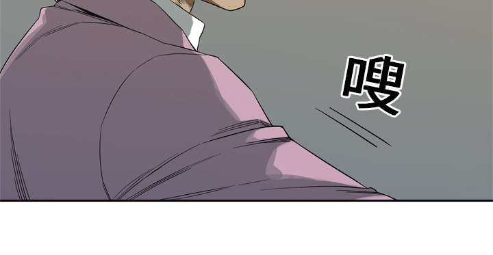 第21章：移植手术62