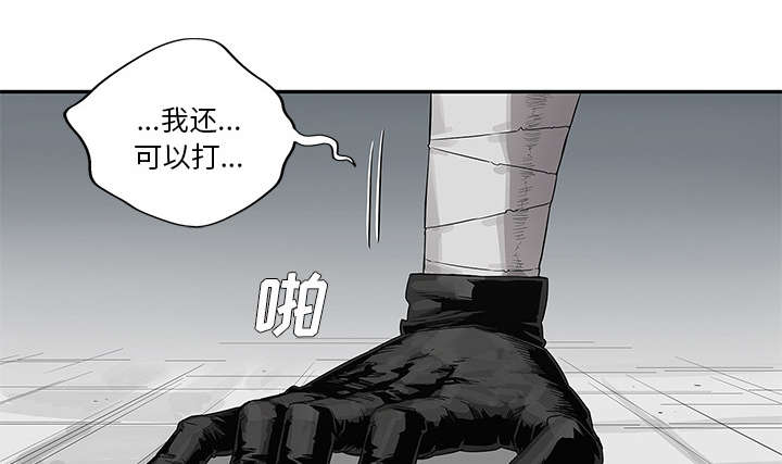 第79章：保护机制35