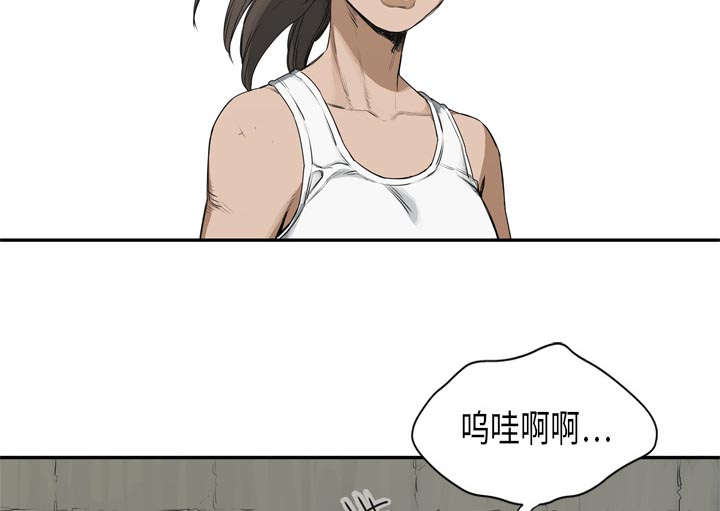 第38章：寻找53