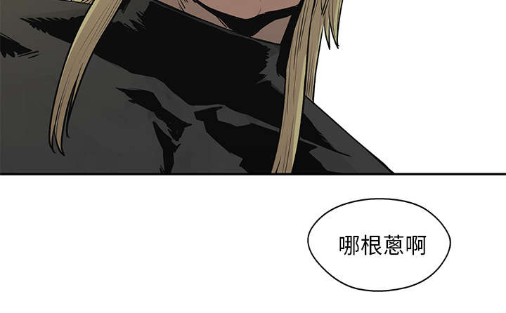 第83章：另一个强者55