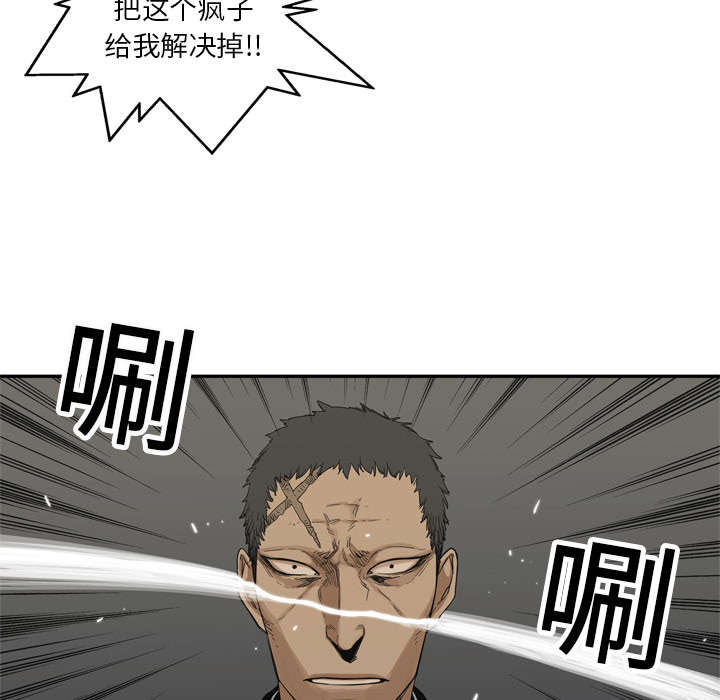 第41章：发现55