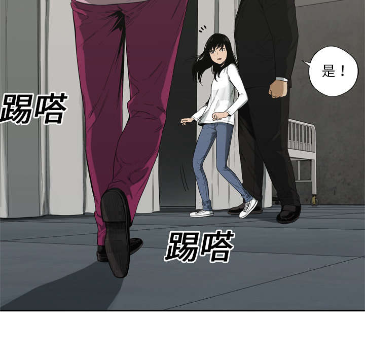 第21章：移植手术58