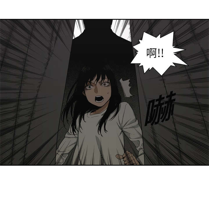 第21章：移植手术53