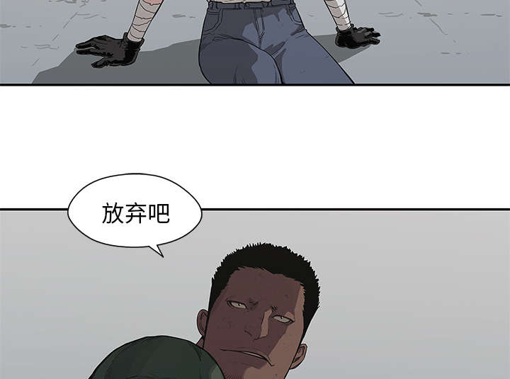第78章：关注23