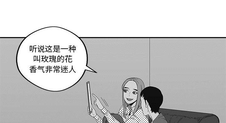 第51章：血腥复仇13
