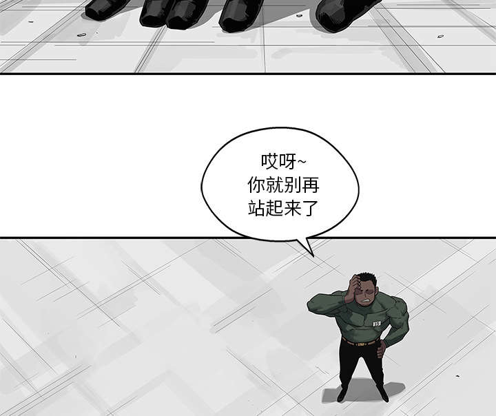 第79章：保护机制36