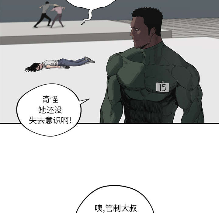 第79章：保护机制32