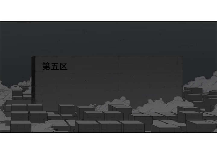 第25章：排位赛17