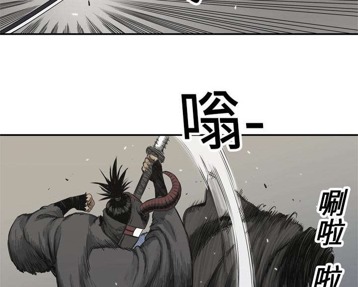 第41章：发现20