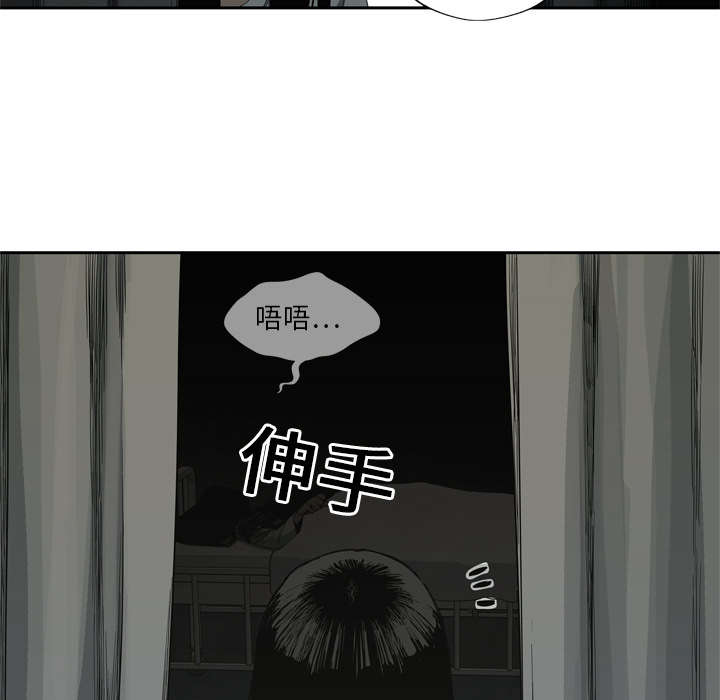 第21章：移植手术48