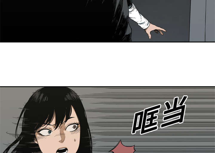 第21章：移植手术55