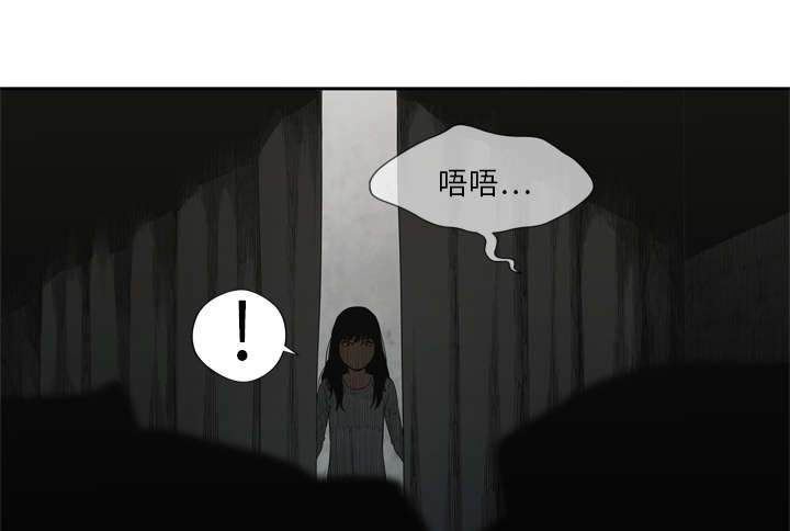 第21章：移植手术45