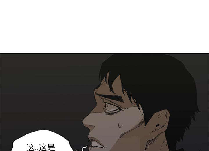 第42章：好好比一场46