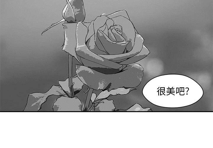 第51章：血腥复仇12