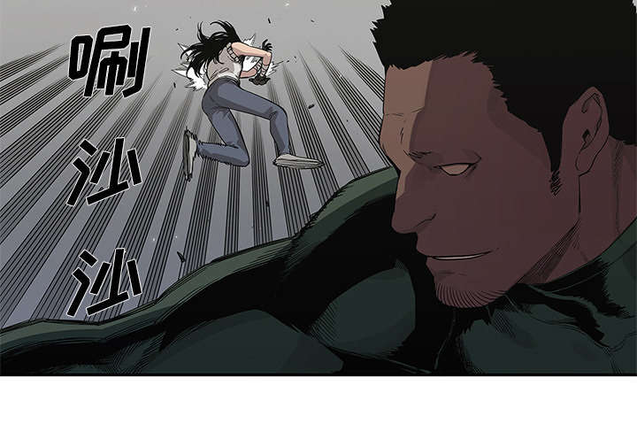 第78章：关注21