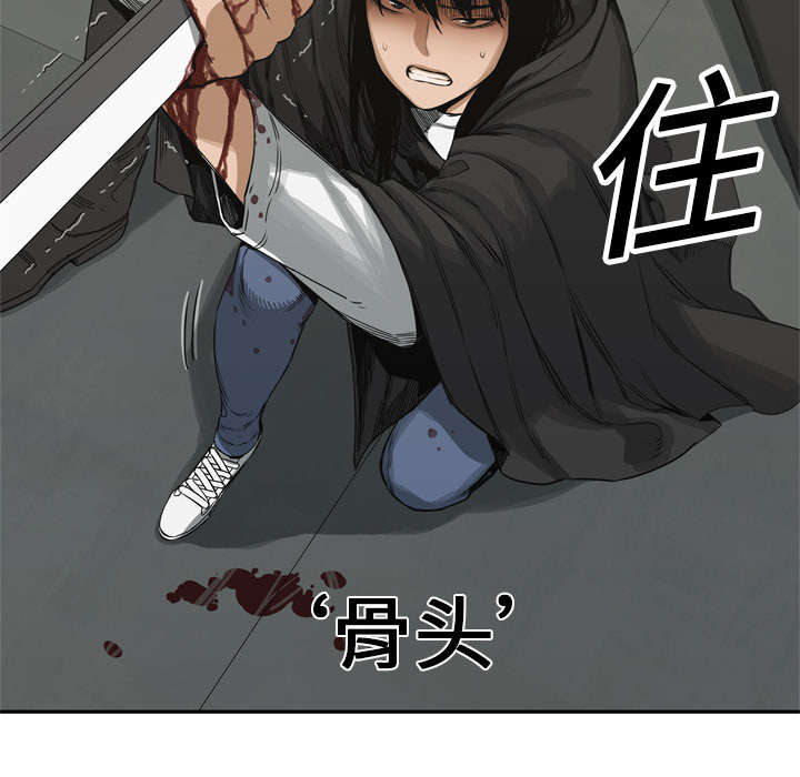 第41章：发现13