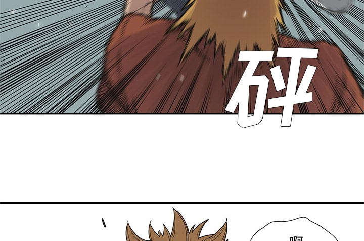第67章：赢了22