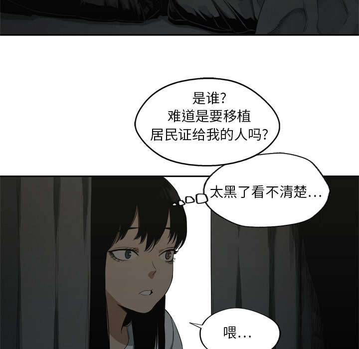 第21章：移植手术47