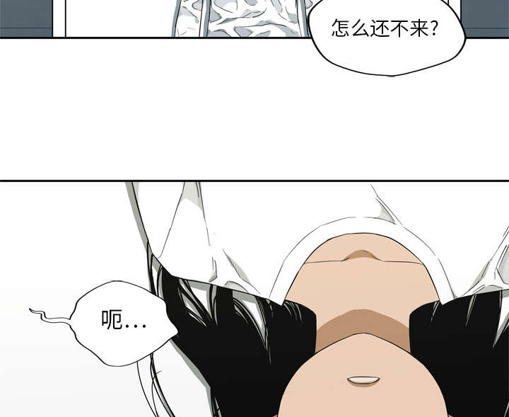 第21章：移植手术39