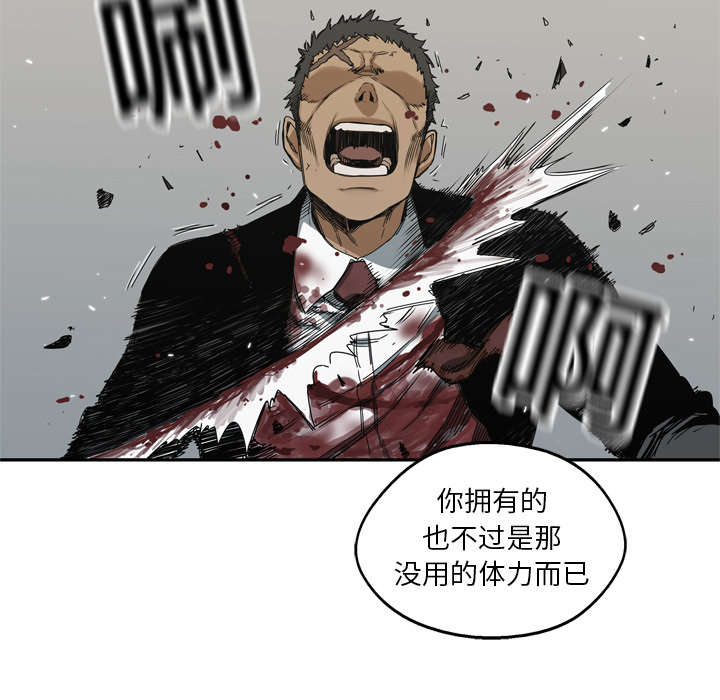 第43章：追击18