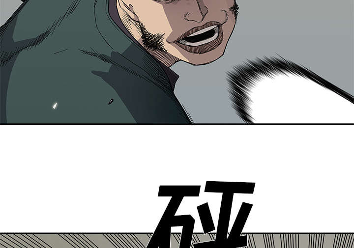 第79章：保护机制21