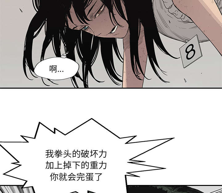 第79章：保护机制47