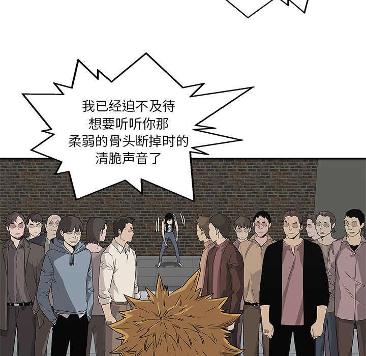 第65章：另一堵墙32