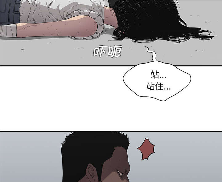 第79章：保护机制30