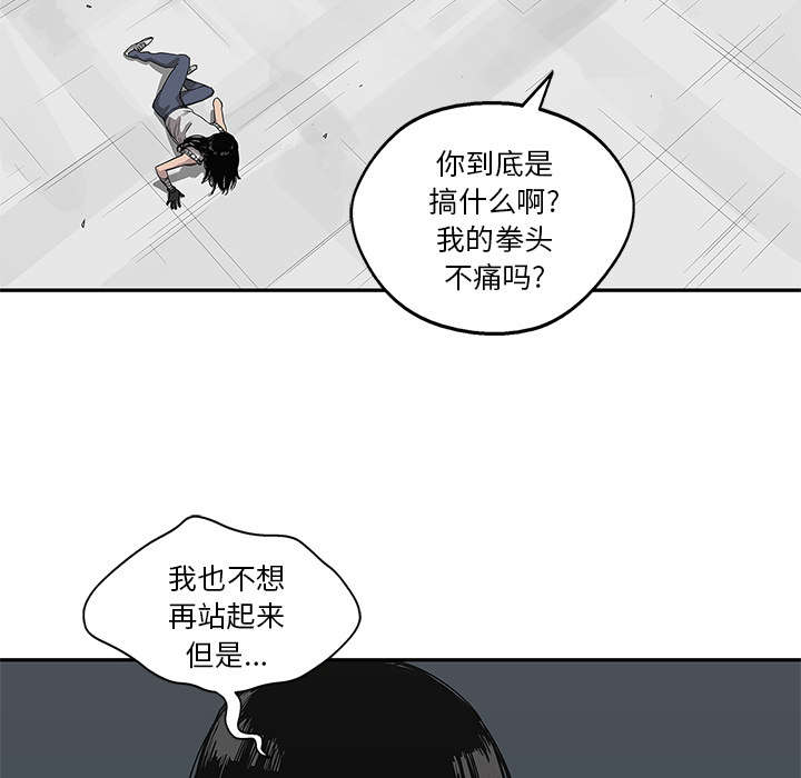 第79章：保护机制37