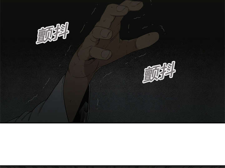 第21章：移植手术50