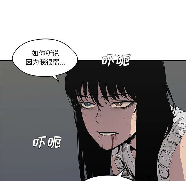 第78章：关注27