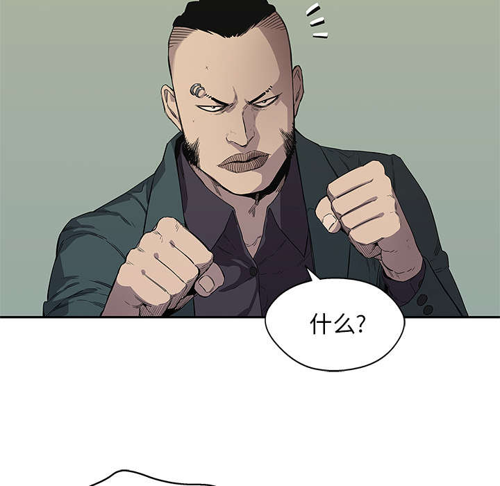 第79章：保护机制11