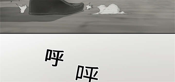 第25章：排位赛66