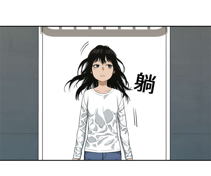 第21章：移植手术21