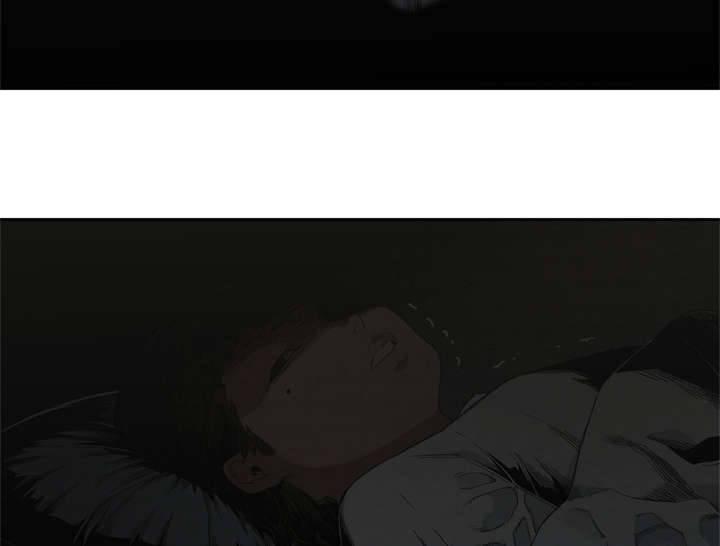 第21章：移植手术46