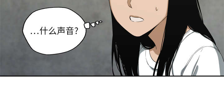 第21章：移植手术42