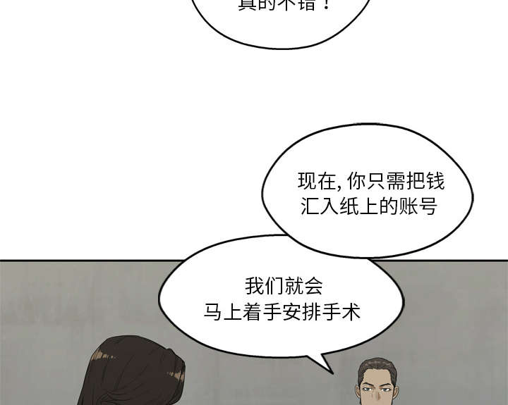第21章：移植手术28