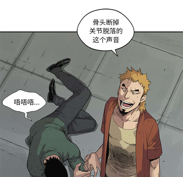 第65章：另一堵墙29