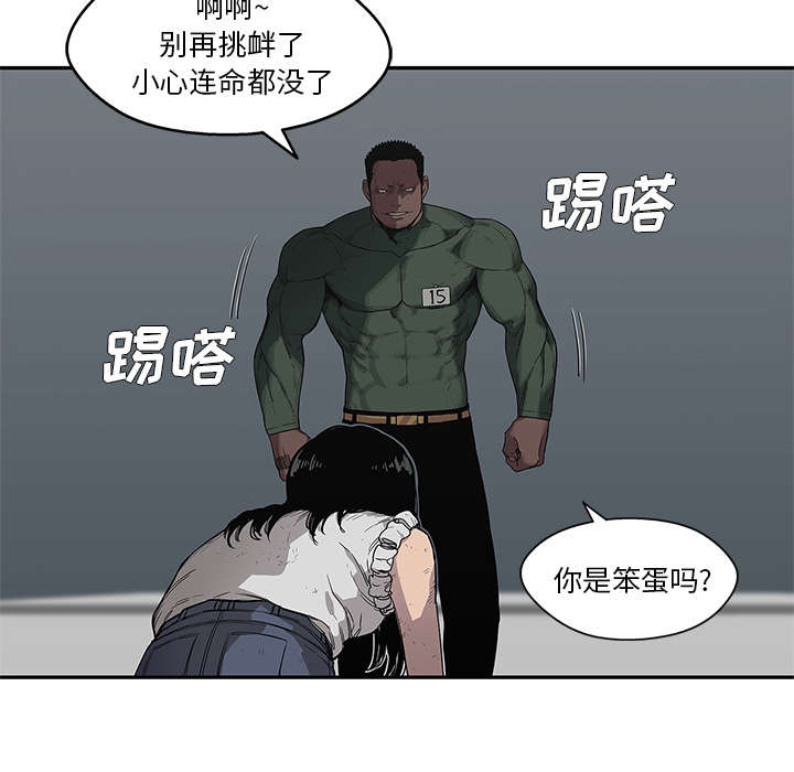 第79章：保护机制39