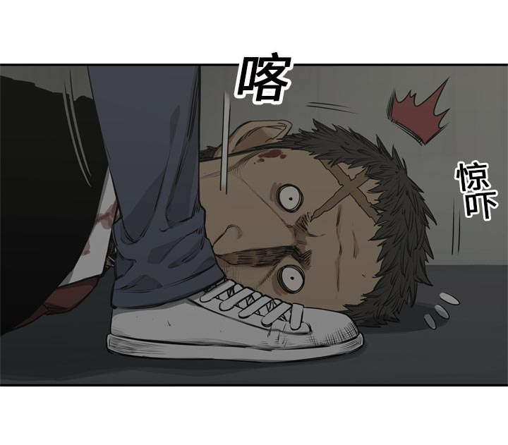 第39章：进入53