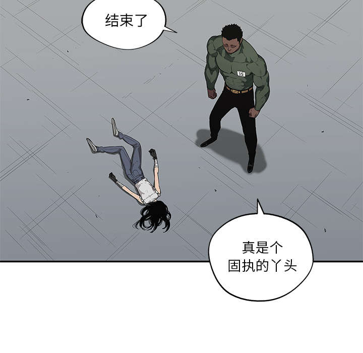 第79章：保护机制27