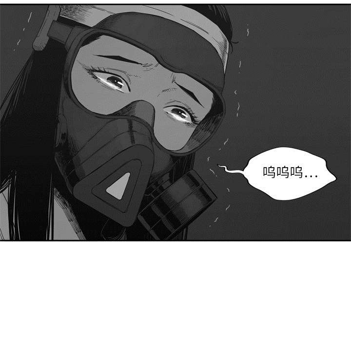 第34章：寻找56