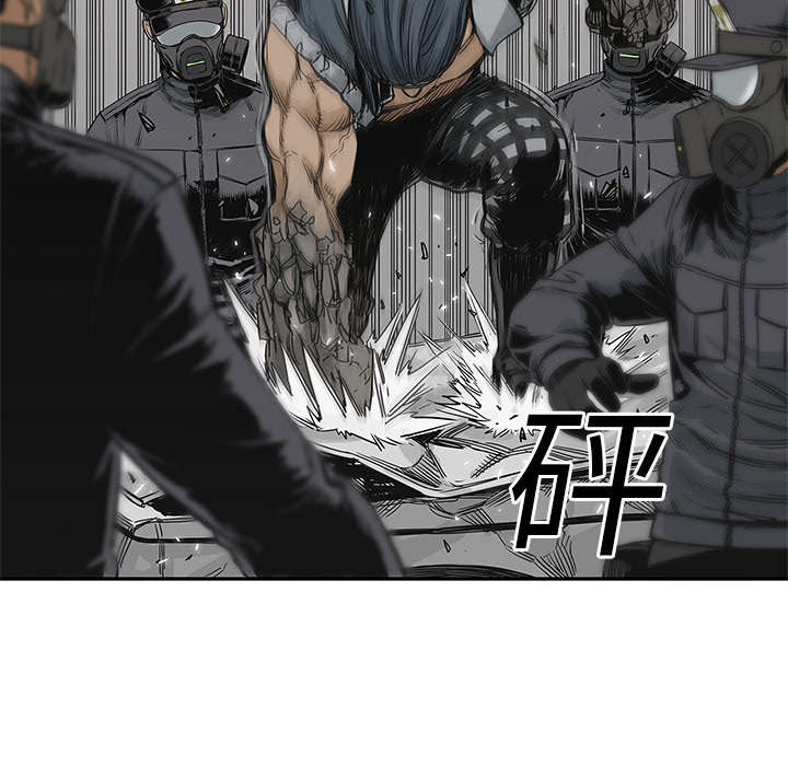 第54章：纸老虎24
