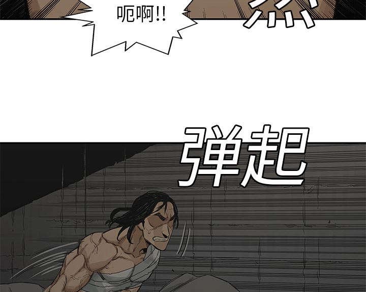 第54章：纸老虎35